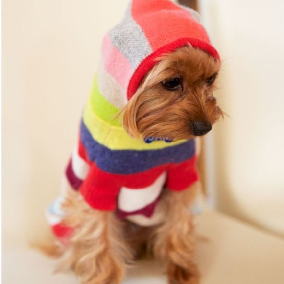 GAP Dog Nwt The Gap Merino Wool Blend Crazy Stripe Logo Dog Sweater